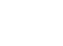 宠物运输